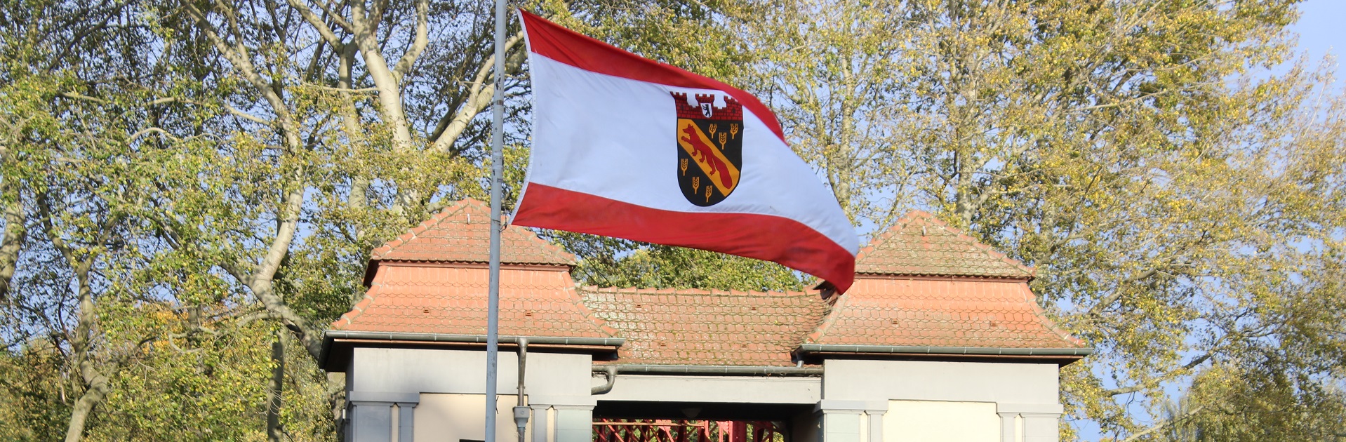 Die Wirtschaft muss brummen. Nicht der Kopf.